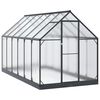 vidaXL Serre de jardin avec porte Anthracite 183,5 x 363,5 x 207 cm