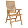 vidaXL Chaises de jardin 2 pcs Marron 52 x 64,5 x 108 cm