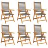 vidaXL Fauteuils pliants inclinables, 6 pi&egrave;ces, bois massif d'acacia gris