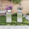 vidaXL Support de Plante 2 pcs Argent 24 x 24 x 55 cm Acier galvanis&eacute;