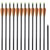 vidaXL Fl&egrave;che d'arc &agrave; poulies standard 12pcs 30" 0,8 cm fibre de verre