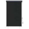 vidaXL Store roulant d'ext&eacute;rieur 100 x 250 cm Anthracite
