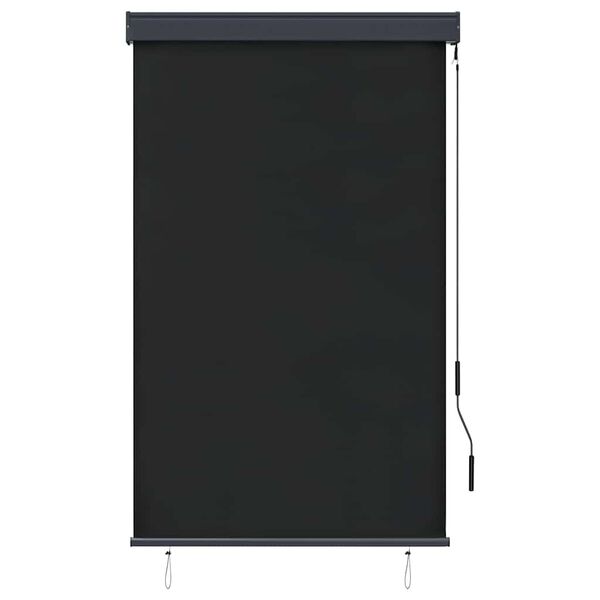 vidaXL Store roulant d'ext&eacute;rieur 100 x 250 cm Anthracite