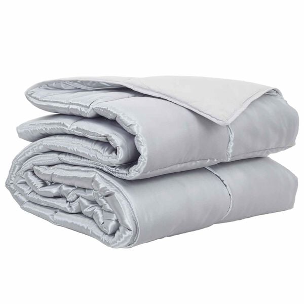 vidaXL Duvet complet toute l'ann&eacute;e Argent&eacute; 200 x 200 cm