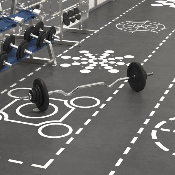 vidaXL Ensemble d'haltères avec plaques 30 kg fonte et acier chromé