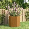 vidaXL Jardinière Rouillé 40x40x45 cm Acier corten