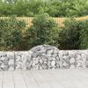vidaXL Paniers à gabions arqués 20 pcs 200x30x60/80 cm Fer galvanisé