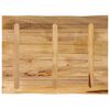 vidaXL Dessus de table bord vivant 90x60x2,5 cm bois de manguier brut