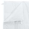 vidaXL Ensemble de Duvet avec oreiller 3 pcs Blanc Plume de canard