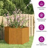 vidaXL Jardini&egrave;re Rouill&eacute; 60x60x45 cm Acier corten