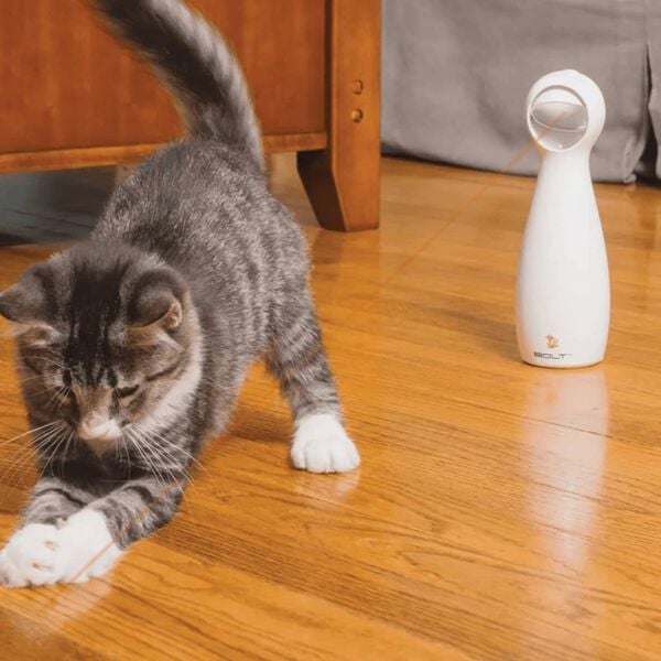 PetSafe Lumi&egrave;re laser automatique FroliCat Bolt Blanc