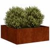 vidaXL Jardini&egrave;re rouill&eacute; 80x80x30 cm acier inoxydable