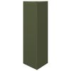 SteelGreen