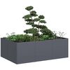 vidaXL Jardini&egrave;re anthracite 120x80x40 cm acier