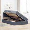 vidaXL Lit de Rangement avec matelas Gris foncé 120 x 200 cm Velours