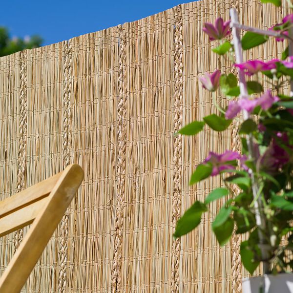 Nature &Eacute;cran de jardin Carex 3x1 m