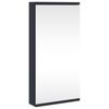 vidaXL Armoire de bain &agrave; miroir d'angle gris 30x24x60 cm