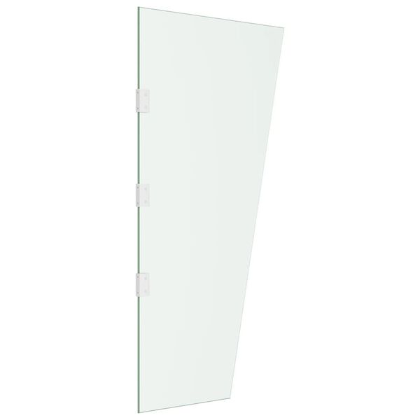 vidaXL Panneau d'auvent de porte Transparent 50x100 cm Verre tremp&eacute;