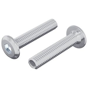 vidaXL Vis de verrou Uni 2 pcs Argent&eacute; M6 x 30 mm Acier