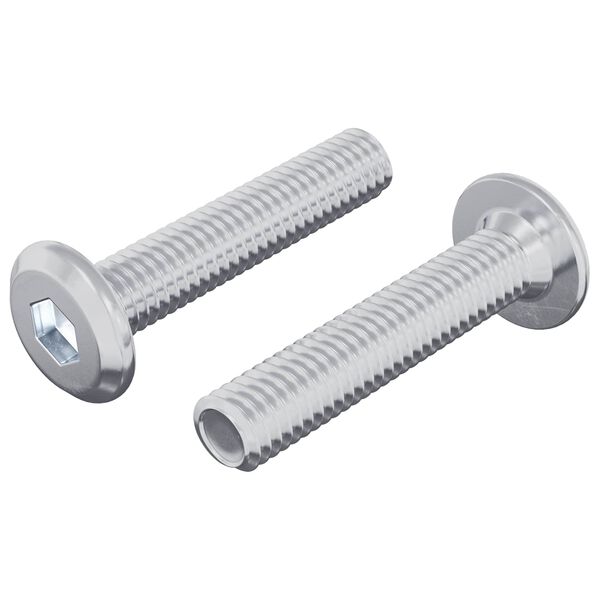 vidaXL Vis de verrou Uni 2 pcs Argent&eacute; M6 x 30 mm Acier
