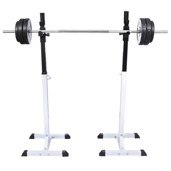 vidaXL Support d'haltères avec jeu d'haltères et de poids 30,5 kg