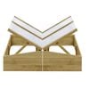 vidaXL Serres 2 pcs Bois de pin impr&eacute;gn&eacute; 100x50x35 cm