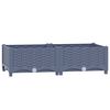 Blue_grey
