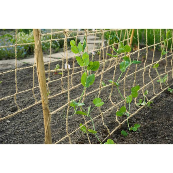 Nature Filet pour plantes grimpantes en jute 1,8x5 m naturel