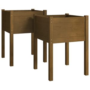 vidaXL Jardini&egrave;res 2 pcs Marron miel 50x50x70 cm Bois de pin massif