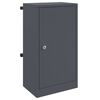 vidaXL bo&icirc;te aux lettres avec porte Anthracite 30 x 20 x 55 cm Acier