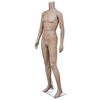 vidaXL Mannequin de vitrine Homme sans t&ecirc;te