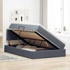 vidaXL Lit de Rangement avec matelas Gris foncé 120 x 190 cm Velours