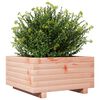vidaXL Jardini&egrave;re 50x50x26,5 cm bois massif de douglas