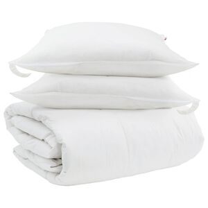 vidaXL Ensemble de Duvet avec oreiller 3 pcs Blanc Plume de canard