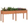 vidaXL Jardini&egrave;re avec doublure marron 203x53x76 cm bois massif sapin