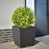Vignette du produit 2 sur 10