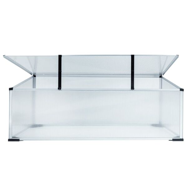 HI Serre 100x60x40 cm aluminium transparent