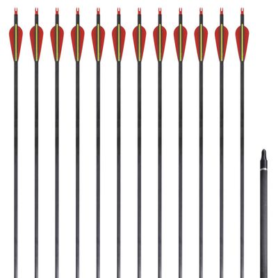 12 flèches standard en carbone 30" 0,76 cm pour arc classique