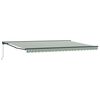 vidaXL Cadre d'auvent Vert et blanc 500 &times; 300 cm