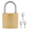 vidaXL U Lock avec Cl&eacute;s 2 pcs Laiton Fer