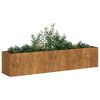 vidaXL Jardinière rouillé 200x40x40 cm acier inoxydable