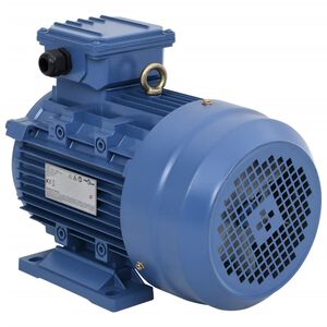 vidaXL Moteur &eacute;lectrique triphas&eacute; Aluminium 4kW/5,5 CH 2840 tr/min