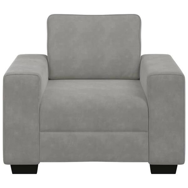vidaXL Fauteuil Gris clair 100x77x82 cm Velours