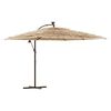 vidaXL Parasol de jardin avec LED et m&acirc;t en acier marron 290x290x238cm