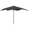 vidaXL Parasol de jardin avec m&acirc;t en bois anthracite 300x300x273 cm