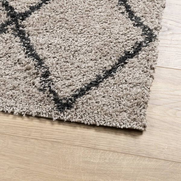 vidaXL Tapis shaggy à poils longs moderne beige anthracite 200x280 cm