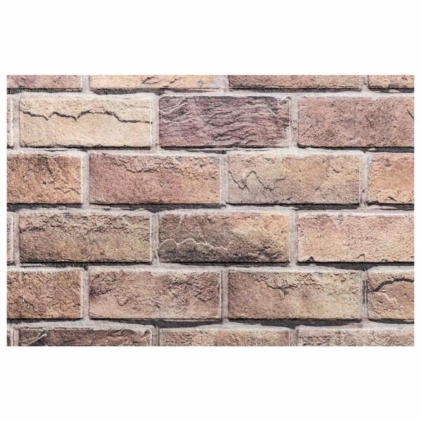 vidaXL Panneaux muraux 10 pcs Marron et gris 100 x 50 cm Mousse EPS