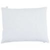 vidaXL Oreiller avec oreiller 2 pcs Blanc 30 x 50 cm Plume