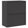 vidaXL Armoire de rangement Noir 80 x 40 x 90 cm Acier