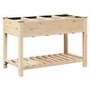 vidaXL Cache-pot de jardin Beige 115 x 59 x 76,5 cm